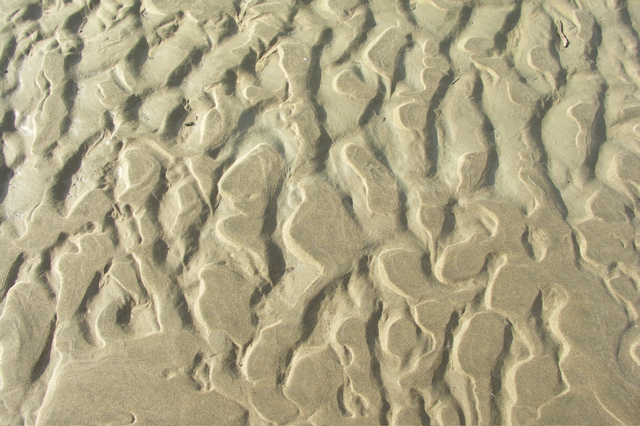 PICT6209.JPG