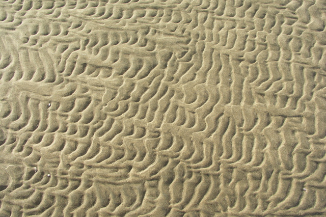 PICT6210.JPG