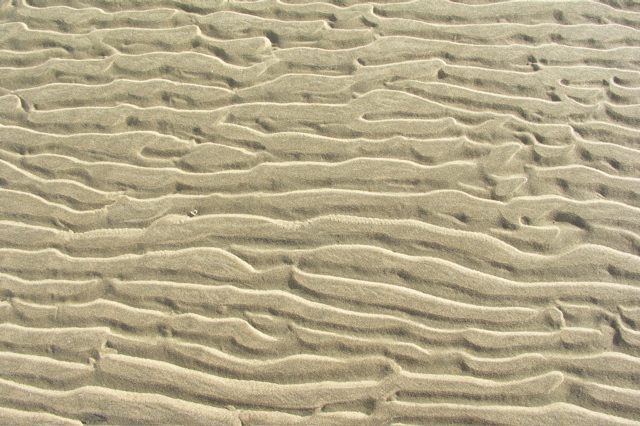 PICT6213.JPG