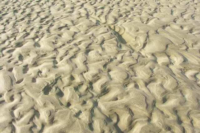 PICT6220.JPG