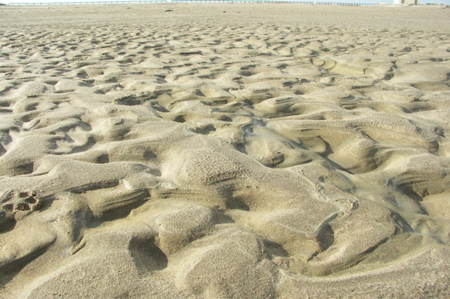 PICT6221.JPG