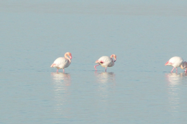 PICT6449.JPG