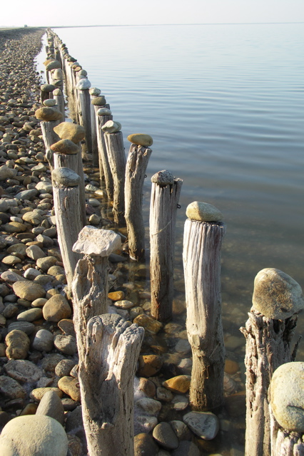 PICT6452.JPG