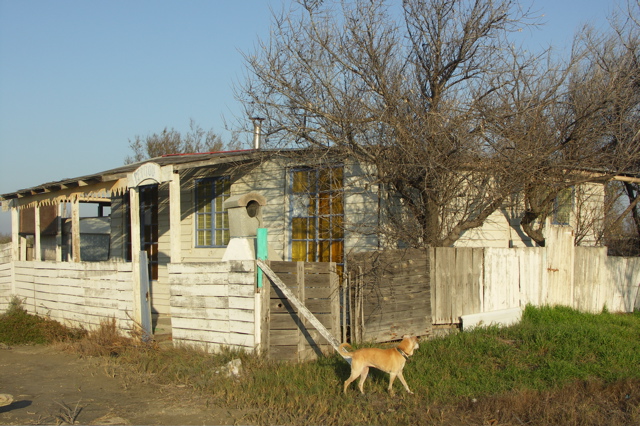 PICT6462.JPG