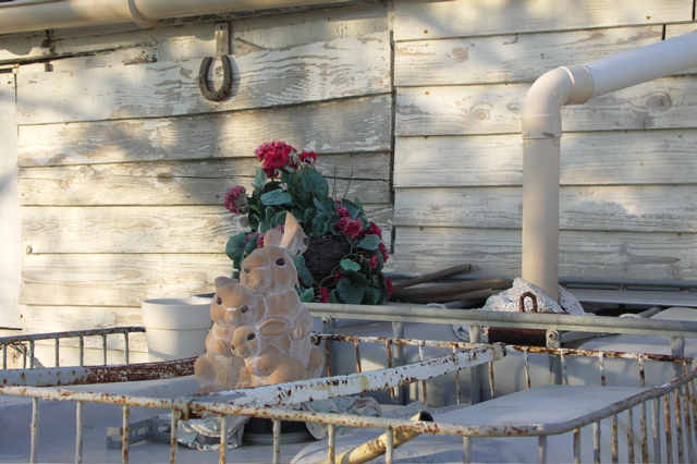 PICT6466.JPG