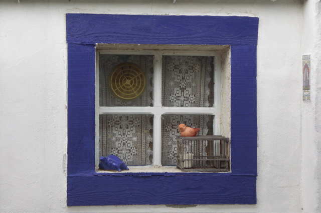 PICT6474.JPG