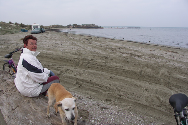 PICT6475.JPG