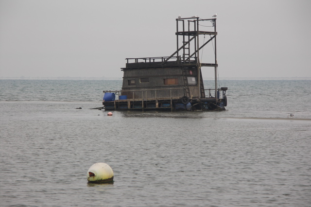 PICT6476.JPG