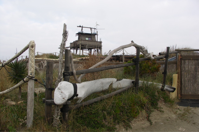 PICT6484.JPG