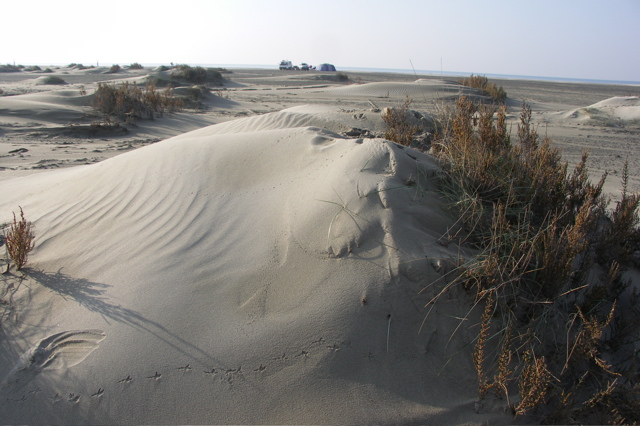PICT6491.JPG