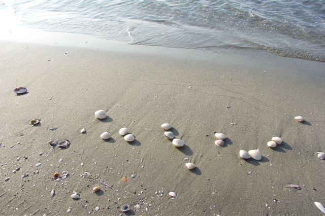 PICT6493.JPG