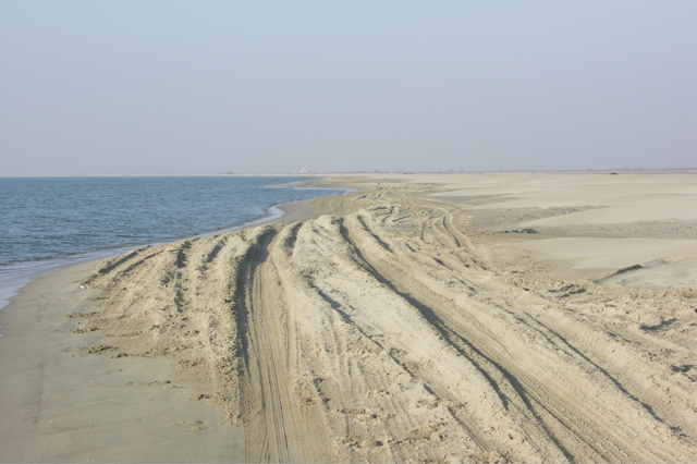 PICT6495.JPG