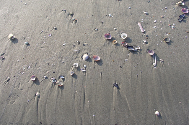 PICT6497.JPG