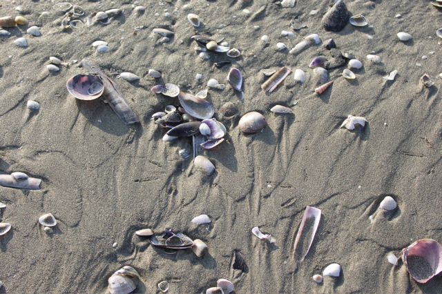 PICT6498.JPG