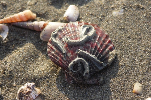 PICT6502.JPG