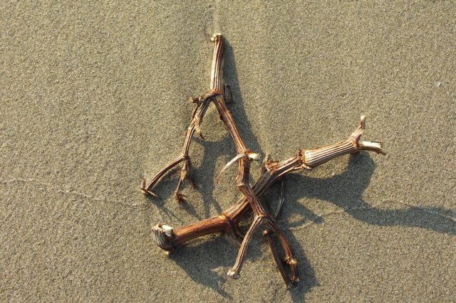 PICT6505.JPG