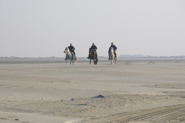 PICT6506.JPG