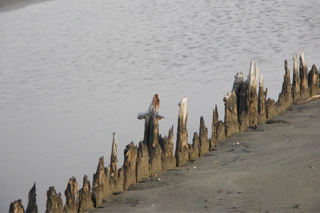 PICT6513.JPG