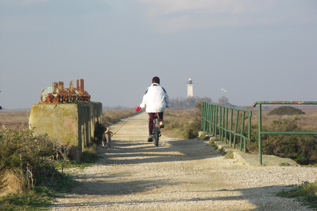 PICT6524.JPG