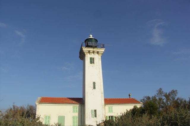 PICT6529.JPG