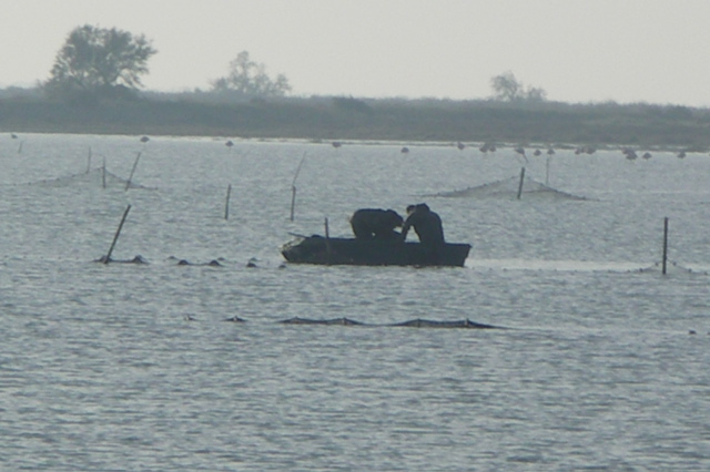PICT6530.JPG