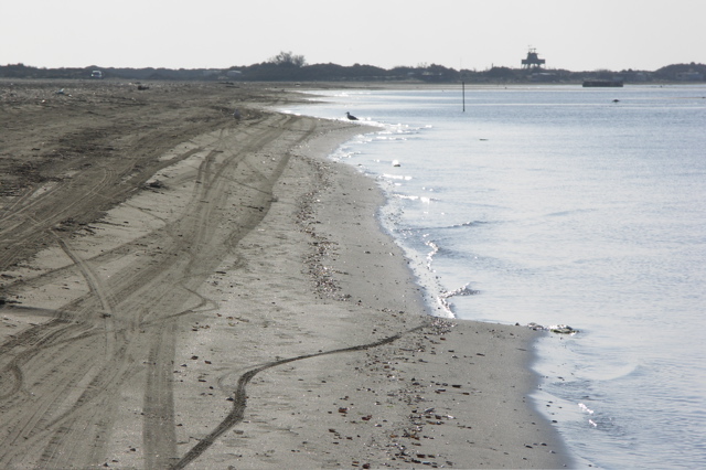 PICT6538.JPG