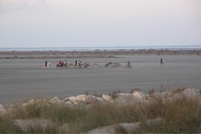 PICT6545.JPG