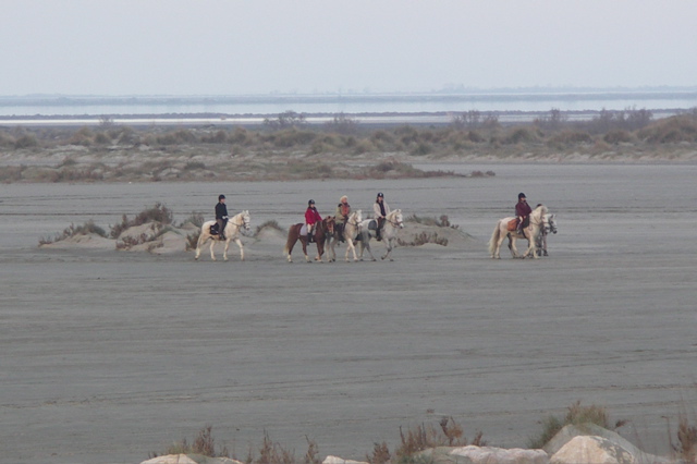 PICT6546.JPG