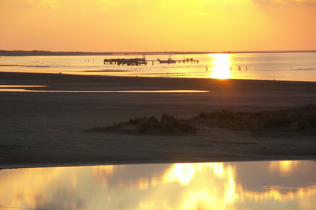 PICT6551.JPG