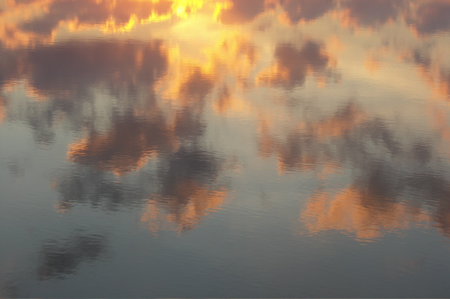 PICT6553.JPG