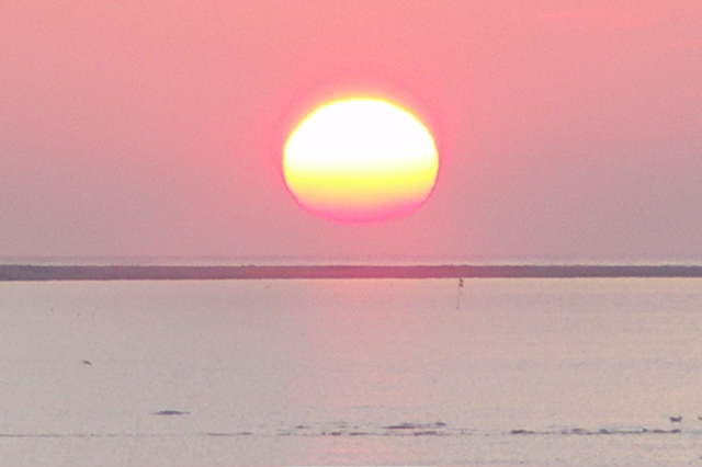 PICT6556.JPG