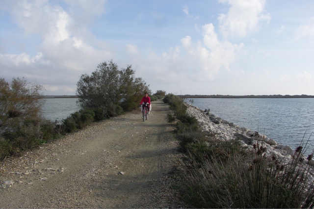 PICT6572.JPG