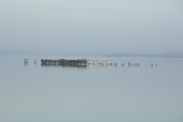PICT6586.JPG