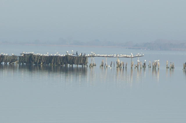 PICT6587.JPG