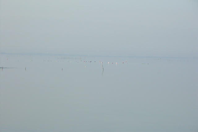 PICT6590.JPG