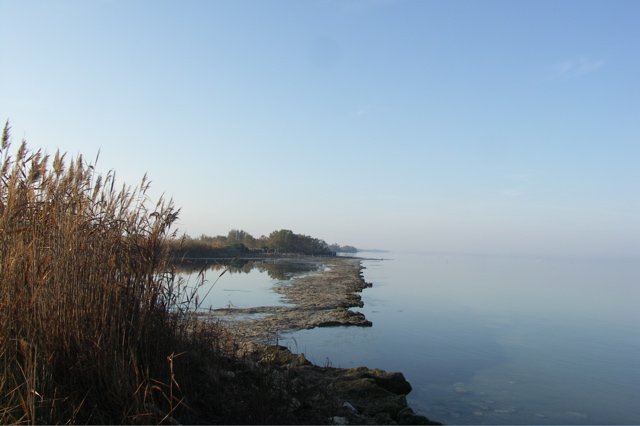 PICT6591.JPG