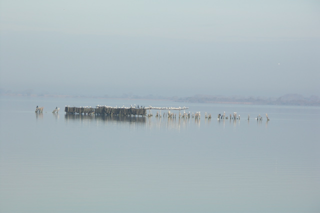 PICT6593.JPG