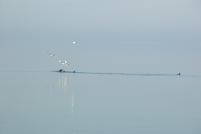 PICT6600.JPG
