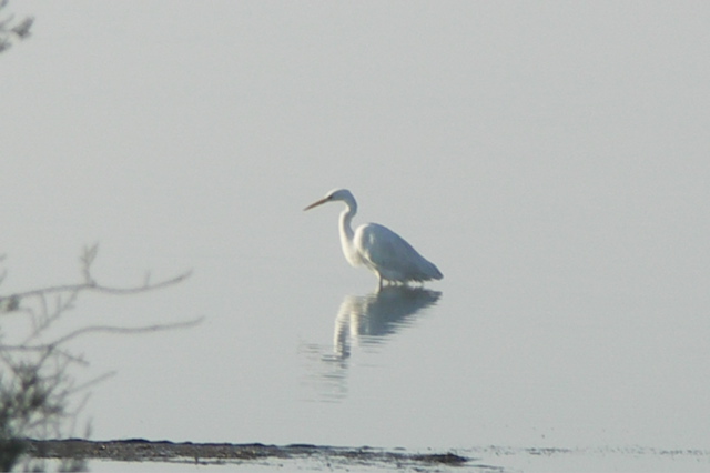 PICT6604.JPG