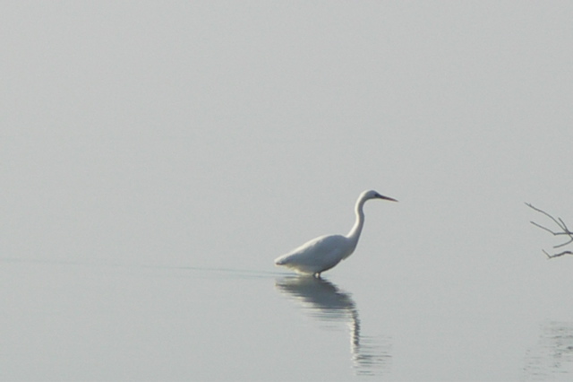 PICT6605.JPG