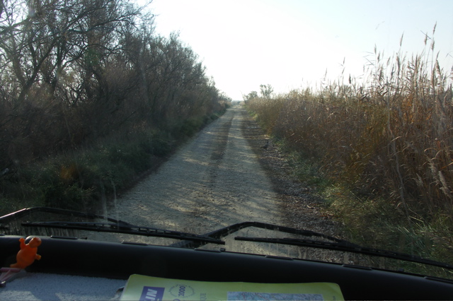 PICT6608.JPG