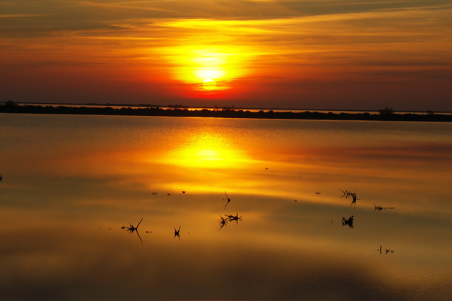 PICT6625.JPG