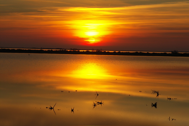 PICT6627.JPG