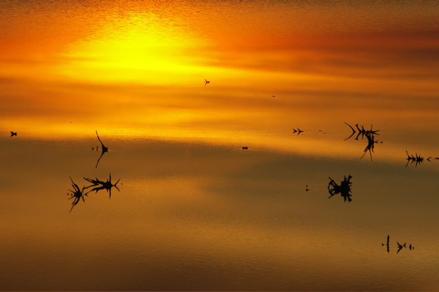 PICT6628.JPG