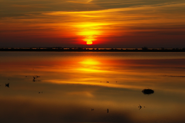 PICT6631.JPG