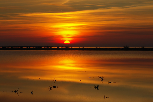PICT6633.JPG