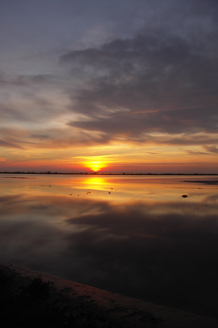 PICT6635.JPG