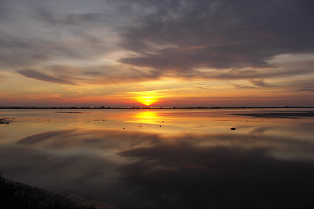 PICT6636.JPG