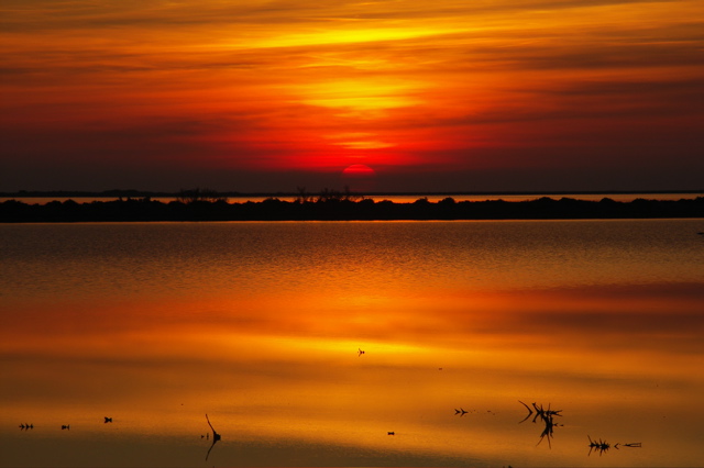 PICT6640.JPG
