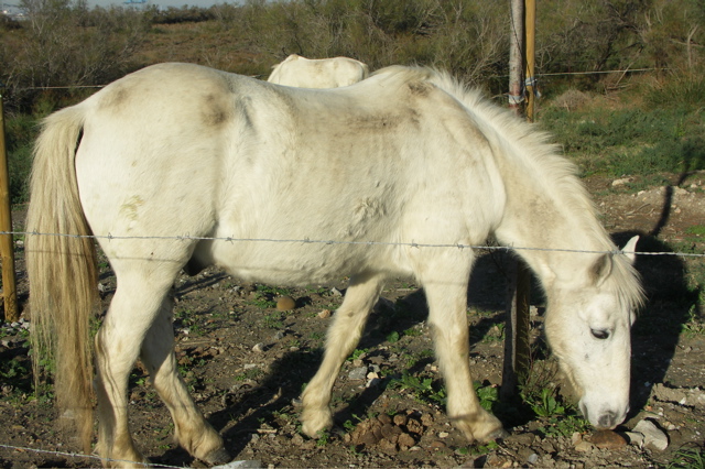 PICT6143.JPG